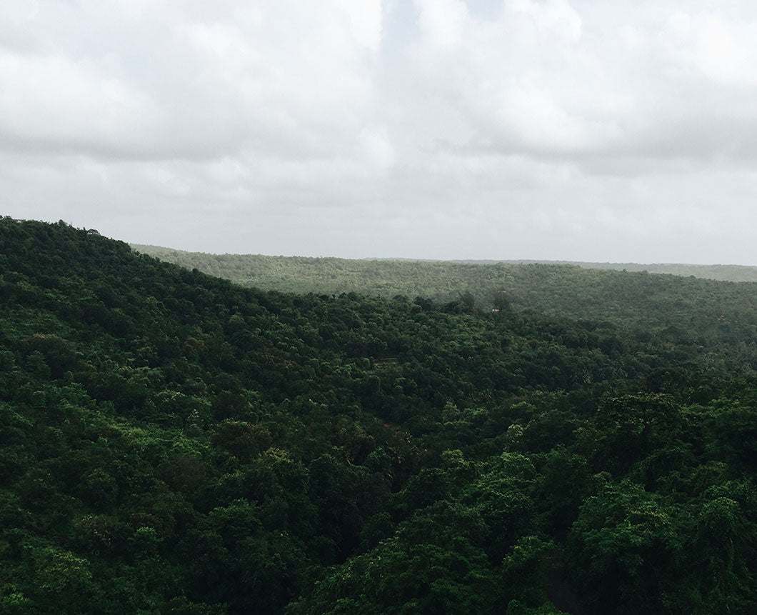 15 quotes on sustainability and recycling