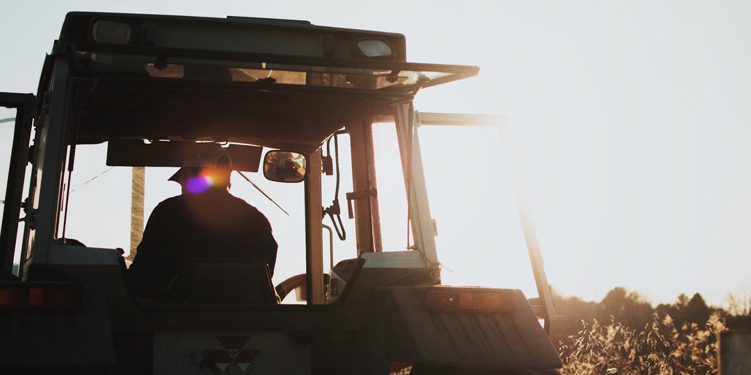 How to reduce your carbon footprint in 5 steps