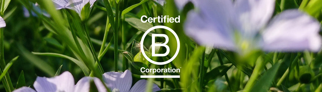 The Environmental Impact and Role of B Corps