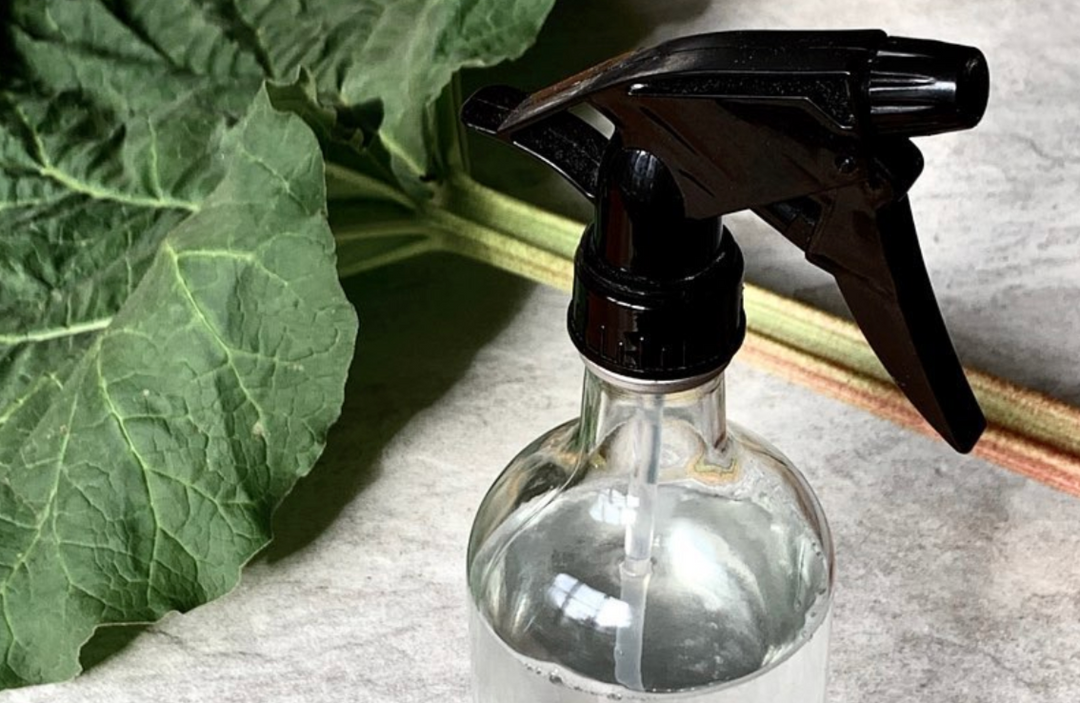 Cleaning Up The Future