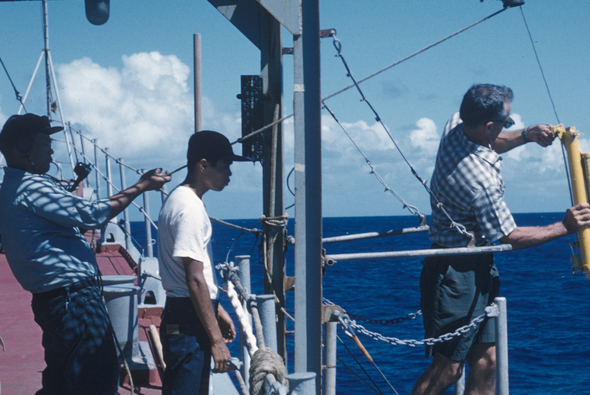 The UN Environment Programme explained