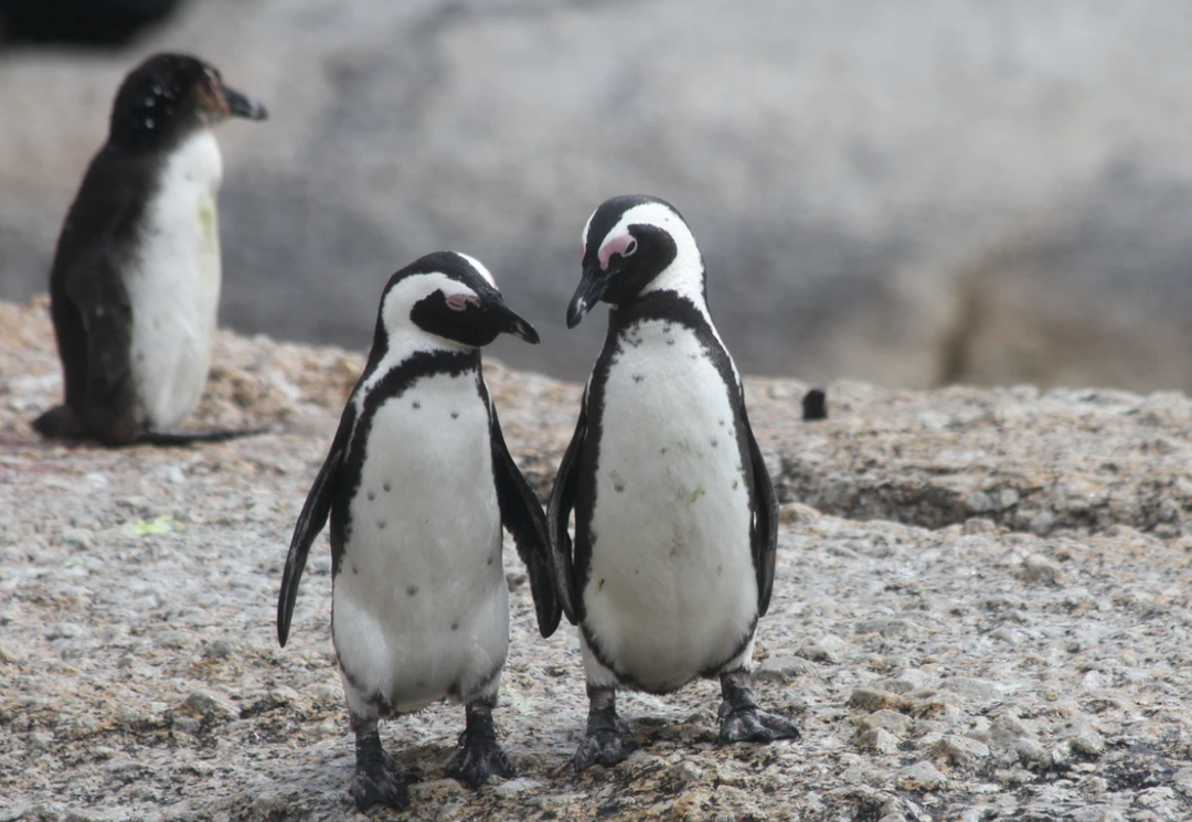 Your Favorite News of 2020