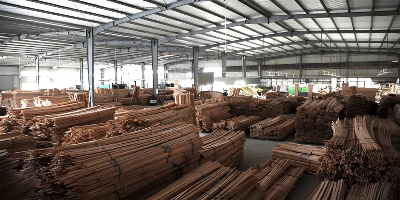 The Electric Toothbrush Factory