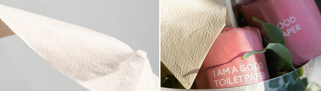 How We Created Toilet Paper Out of Bamboo Banner