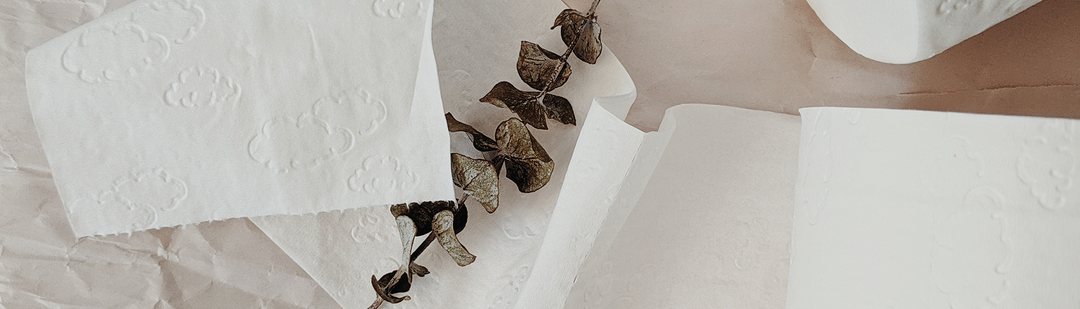 Bamboo Toilet Paper in Stock