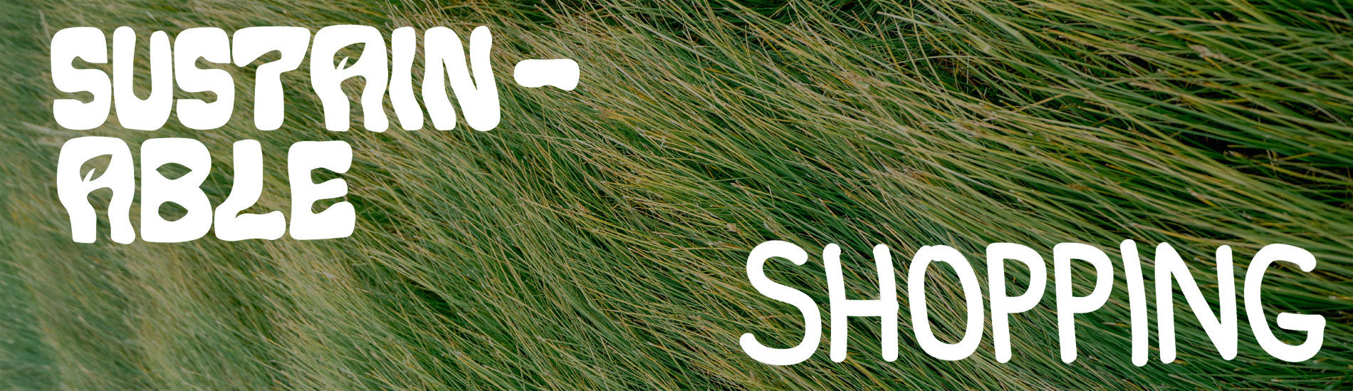 How To Have a Sustainable Black Friday