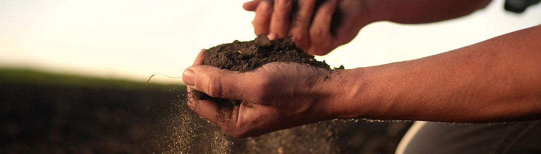 Biodegradable and Compostable Concept