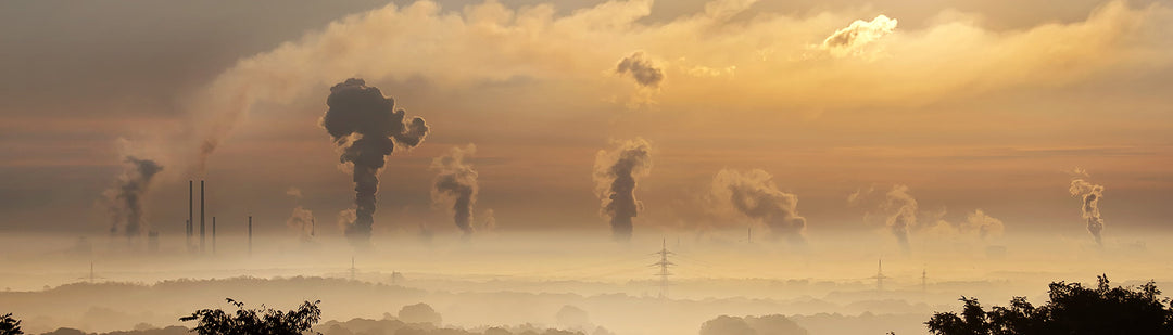 Carbon Offsets Banner