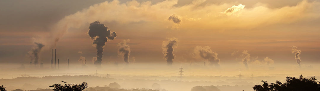 Carbon Offsets Banner