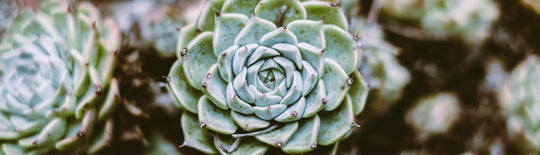 Designing for Circularity - Products That Close the Loop