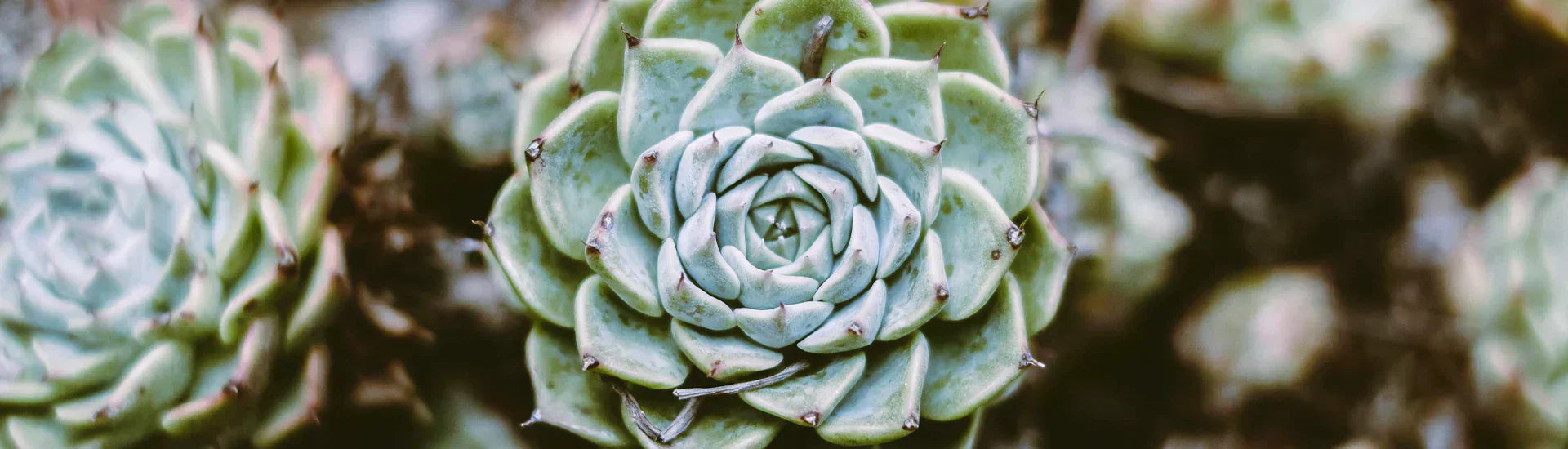 agood loop™: The Circular System Behind Our Products