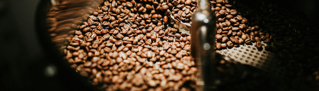 Hot Coffee vs Iced Coffee: Caffeine, Health Benefits & Which One Wins