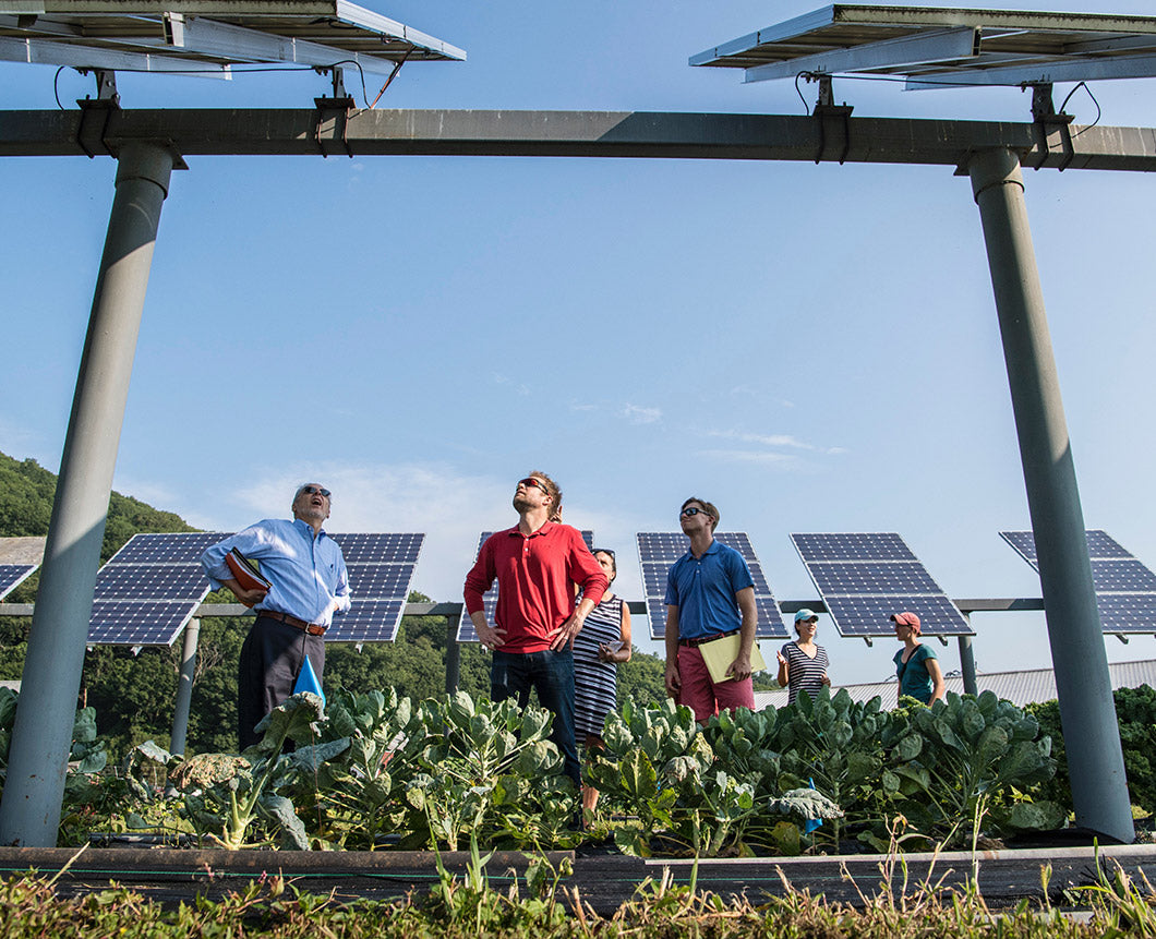 Collaborative consumption