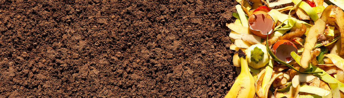 8 Benefits of Composting