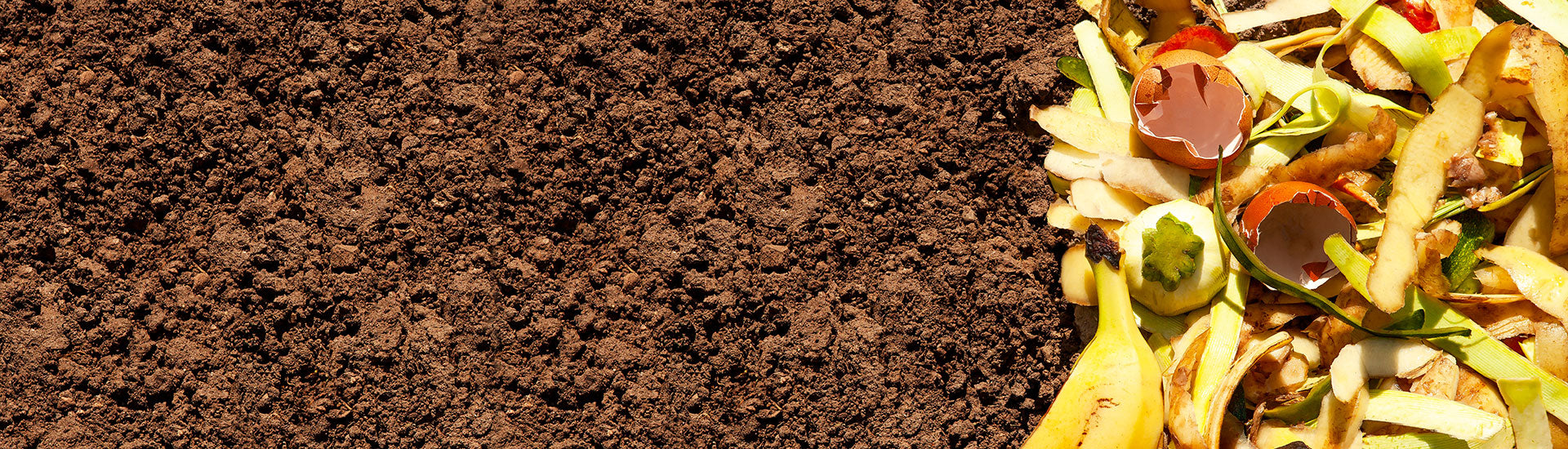 8 Benefits of Composting