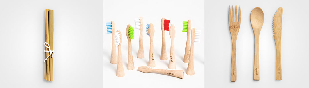 Eco-friendly Products vs Traditional Products