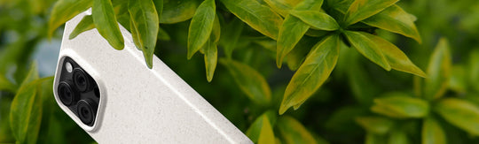 Why We Use the Term "Eco-Friendly"