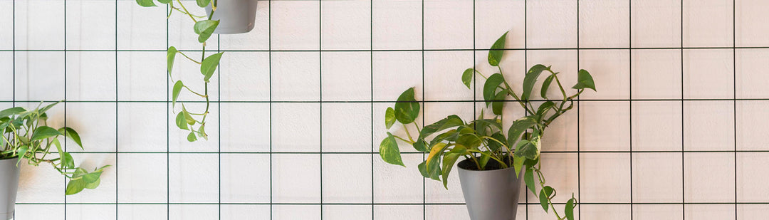 Sustainable Workspaces Banner