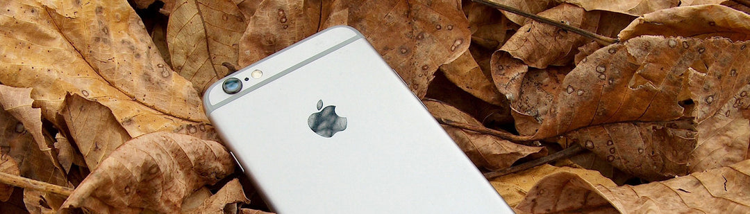 Fall Phone Cases Banner