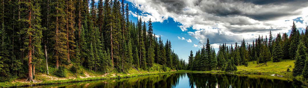 Climate Positive Lifestyle Banner