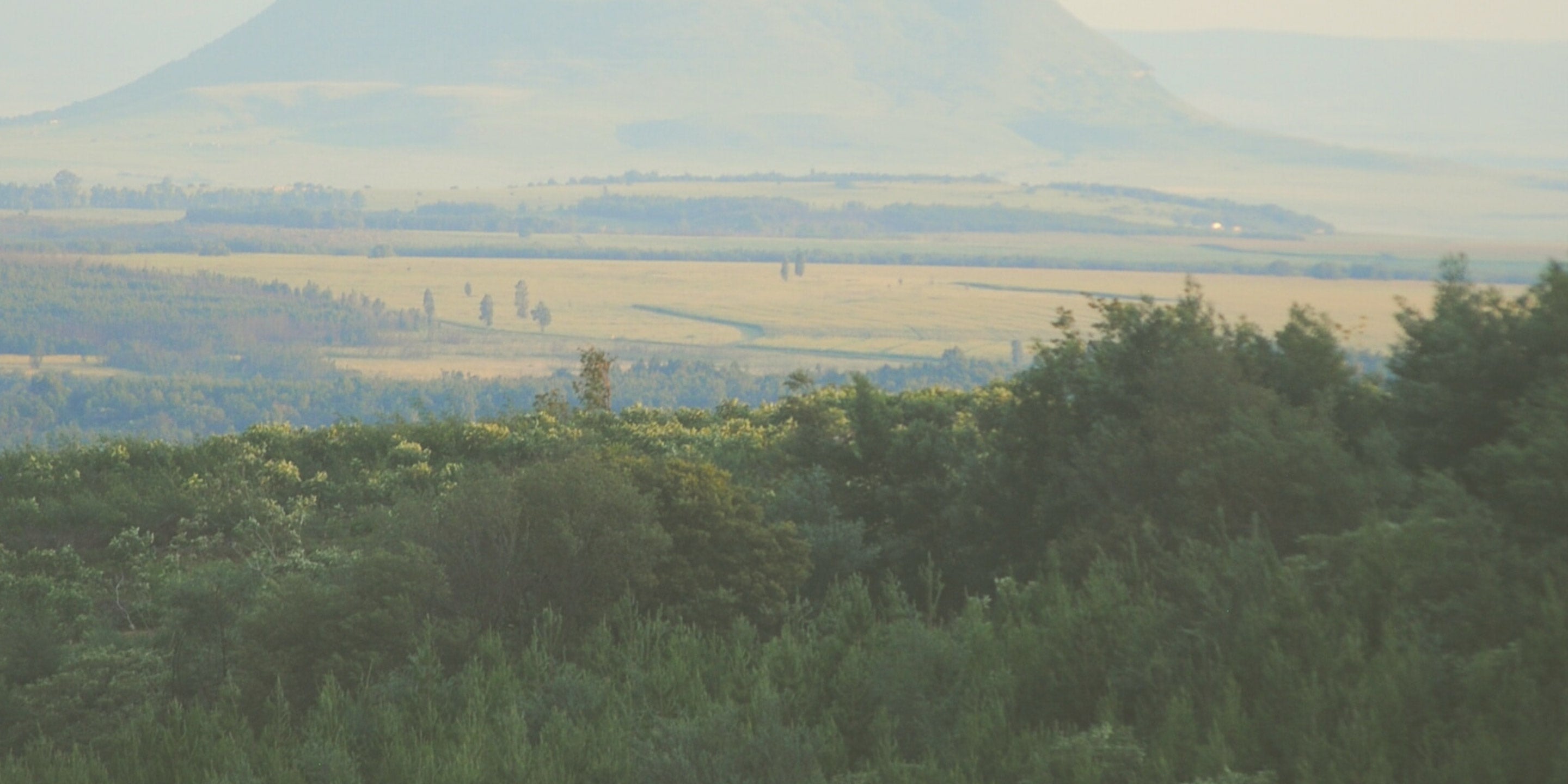 Fortune 500 severely understate the urgency of climate change