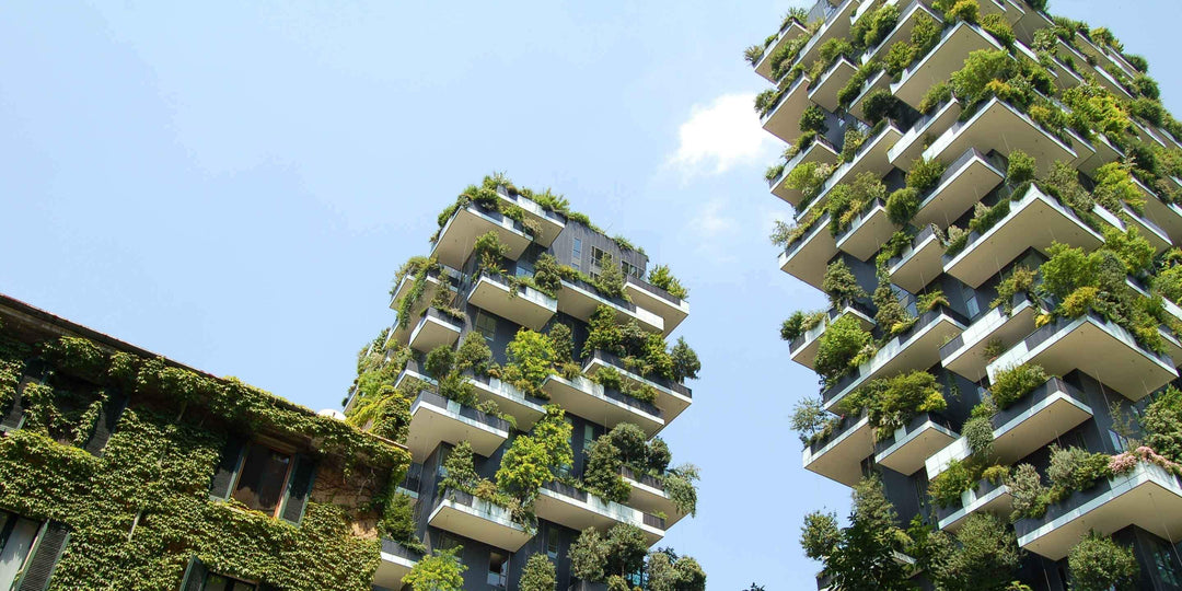 10 sustainable living ideas