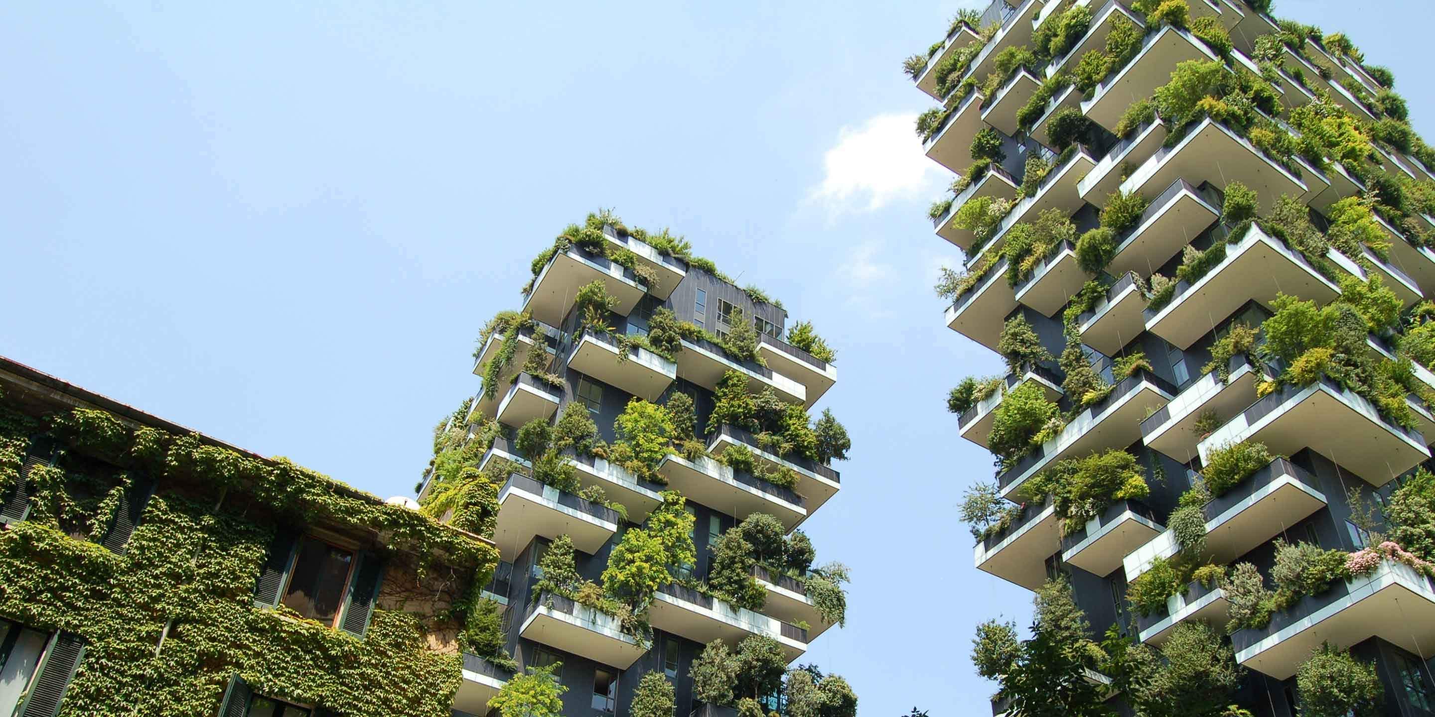 10 sustainable living ideas