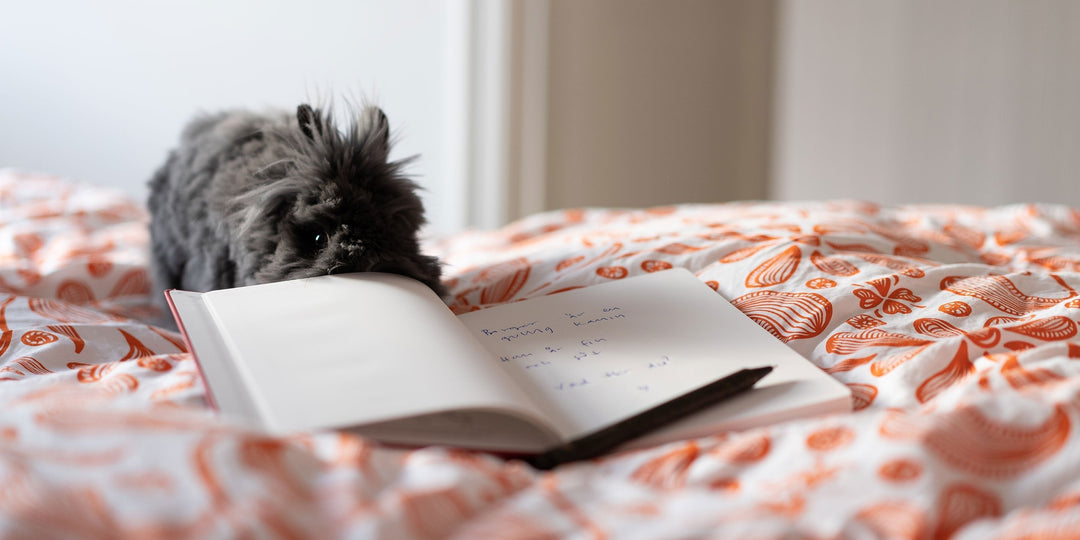 How to bullet journal step by step