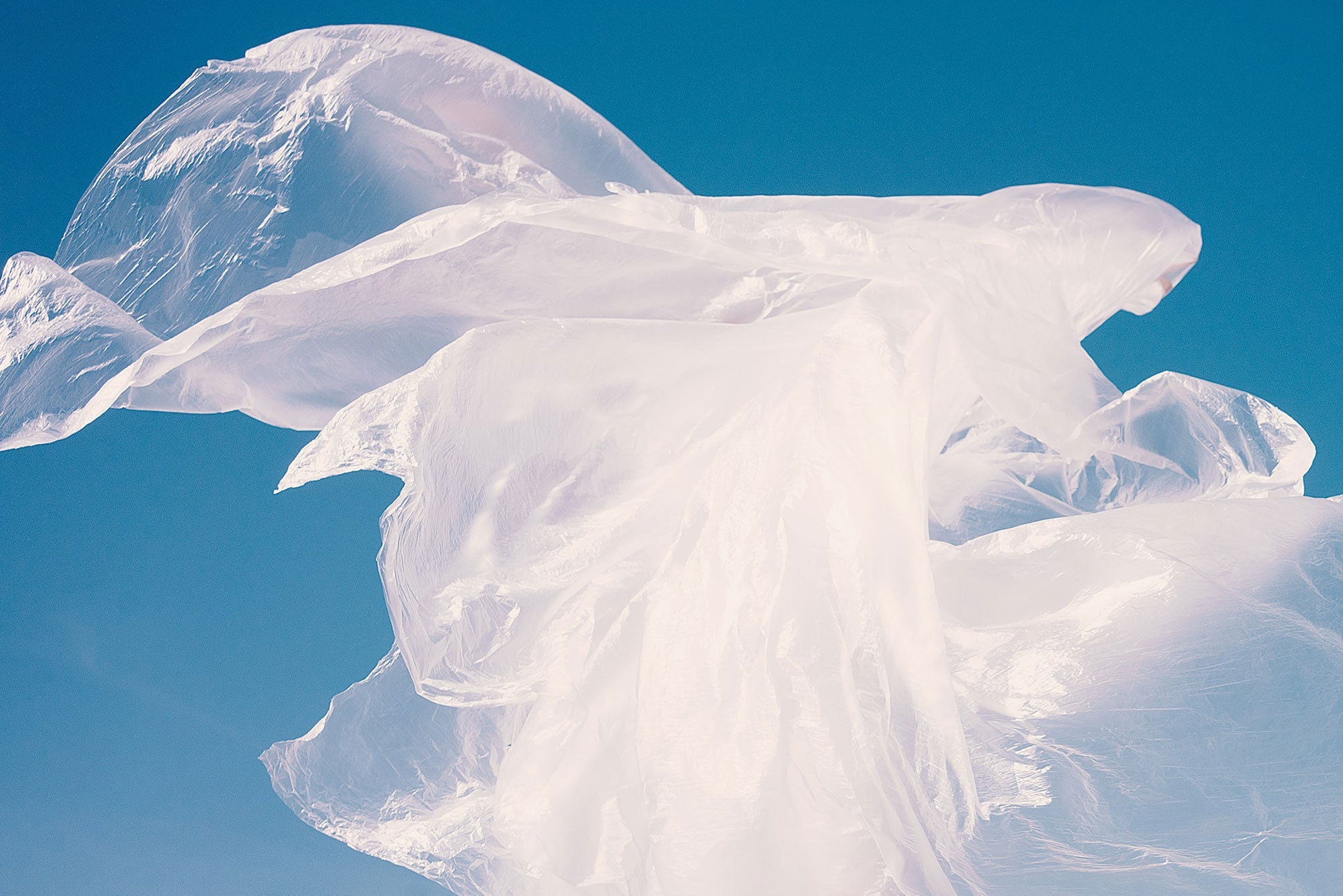 Project Next Gen is tackling our plastic dependency through teaching!