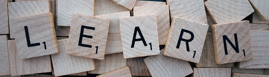 International Day of Education 2024 Learn