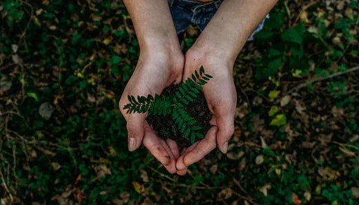 World Environment Day, agood company x Climeworks
