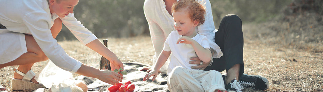 Plastic Free Picnic Banner