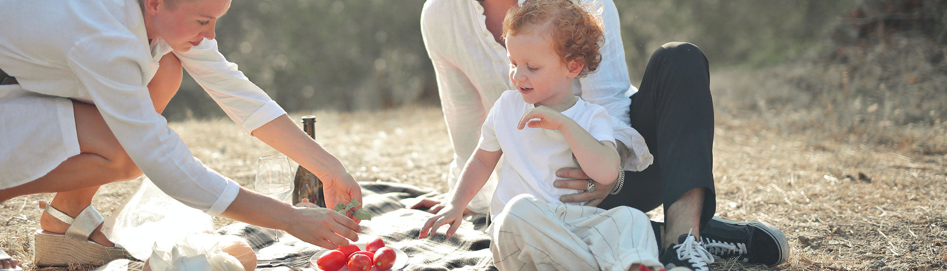 Plastic Free Picnic Banner