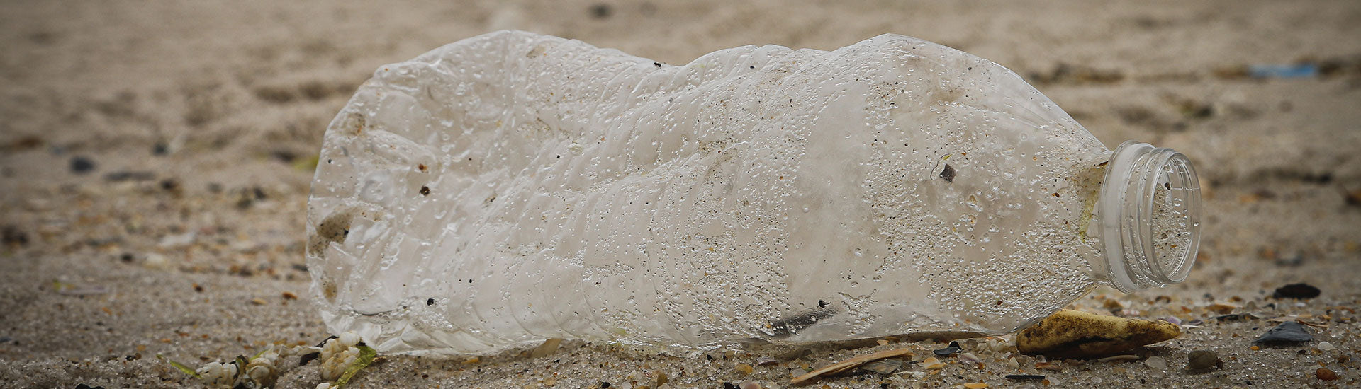 Plastic Pollution