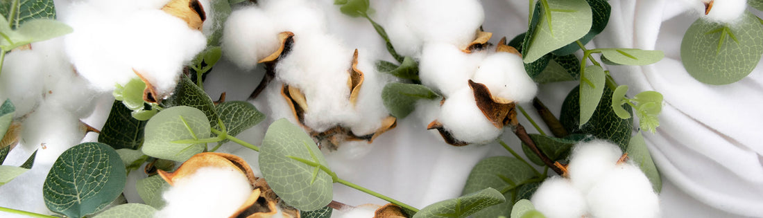 Are Cotton Balls Biodegradable and Recyclable? A Closer Look