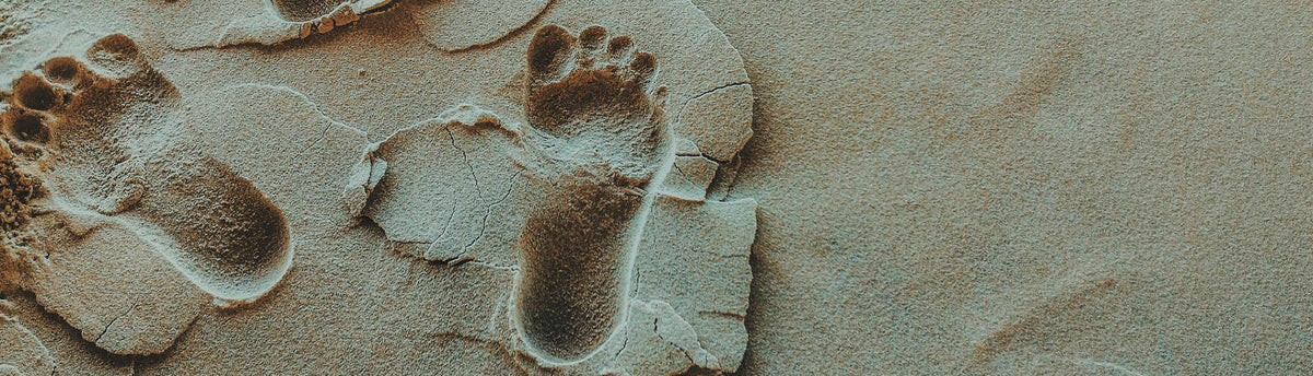 Top 10 Ways to Reduce Your Carbon Footprint | agood company