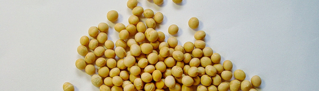 Soy Ink: Five Ways It’s Better for the Environment