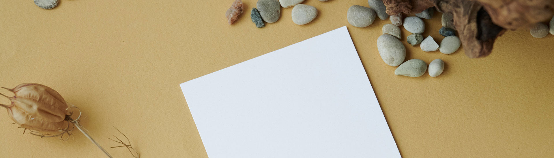 Stone Paper Applications Banner