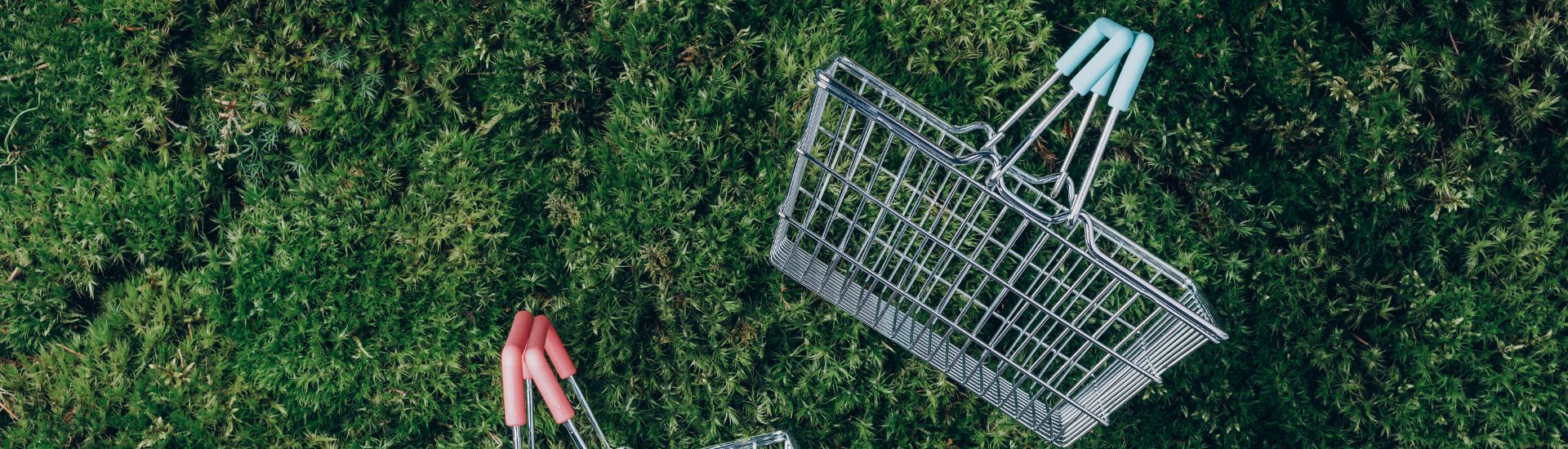 Sustainable Shopping on Black Friday and Cyber Monday