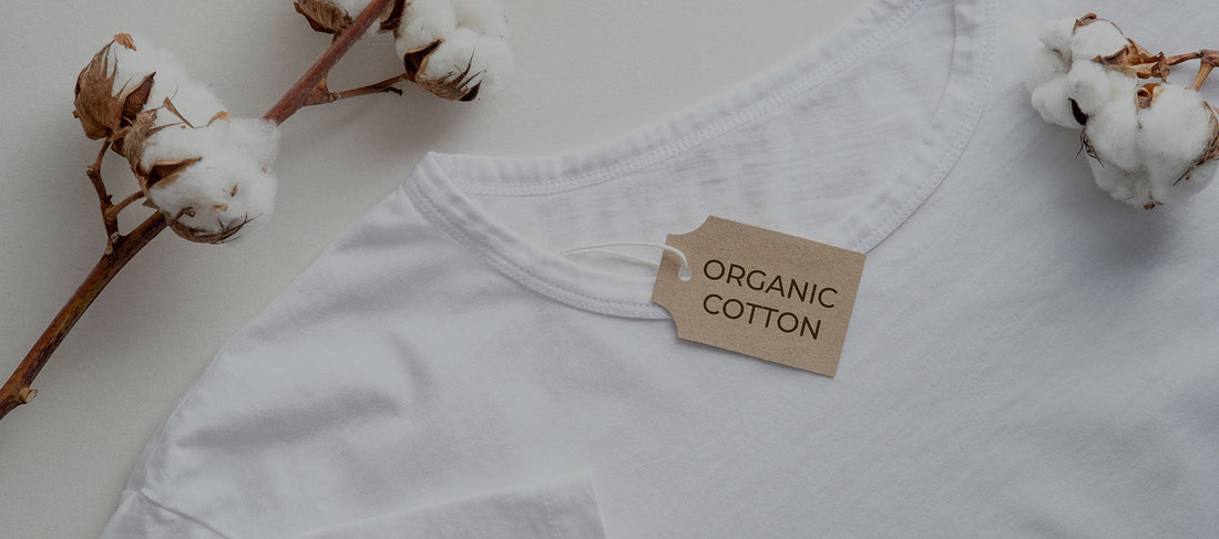 The Ultimate Guide to Sustainable T-Shirts
