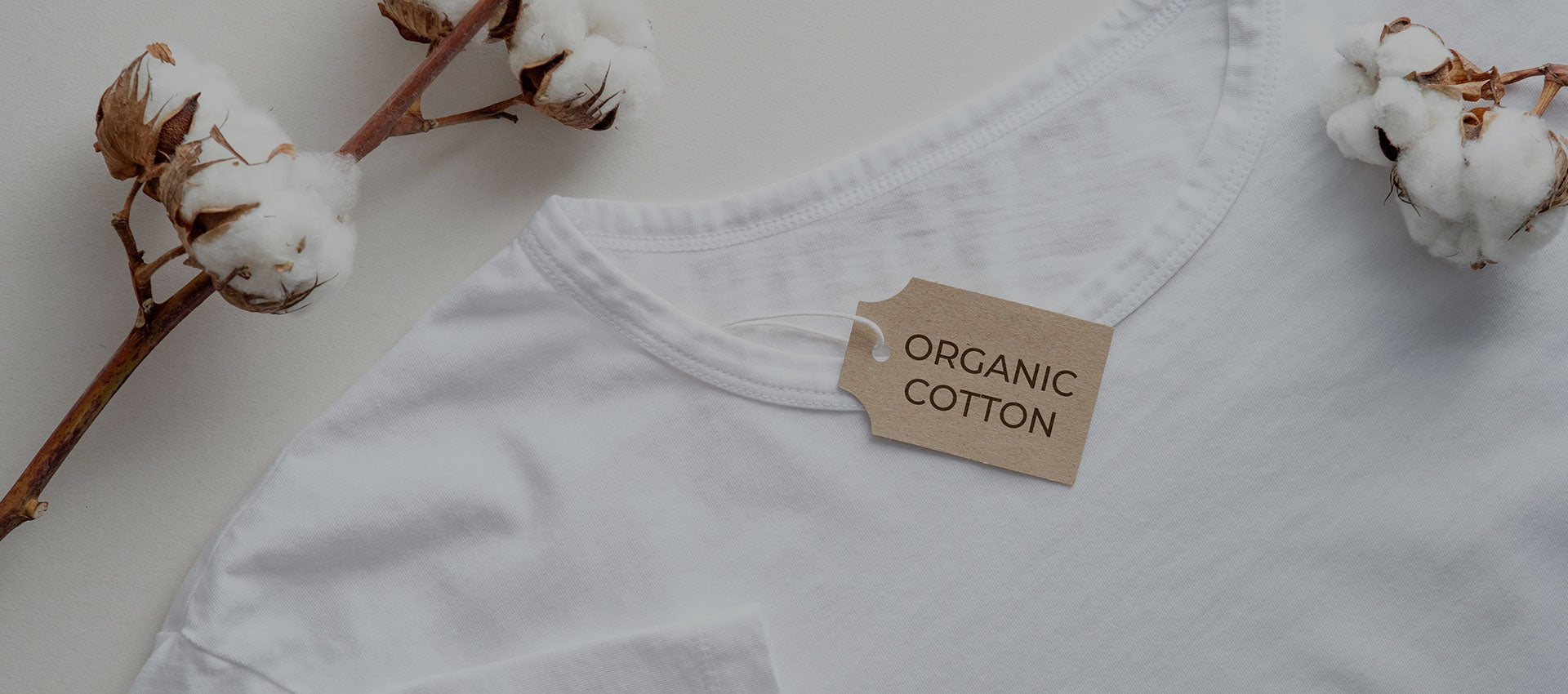 The Ultimate Guide to Sustainable T-Shirts