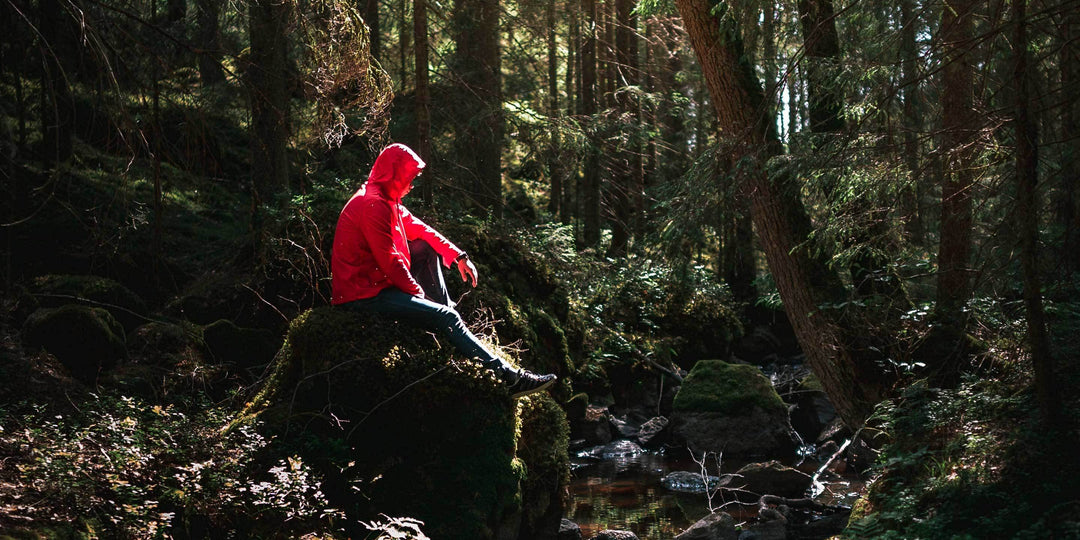 Why trees are so important to us