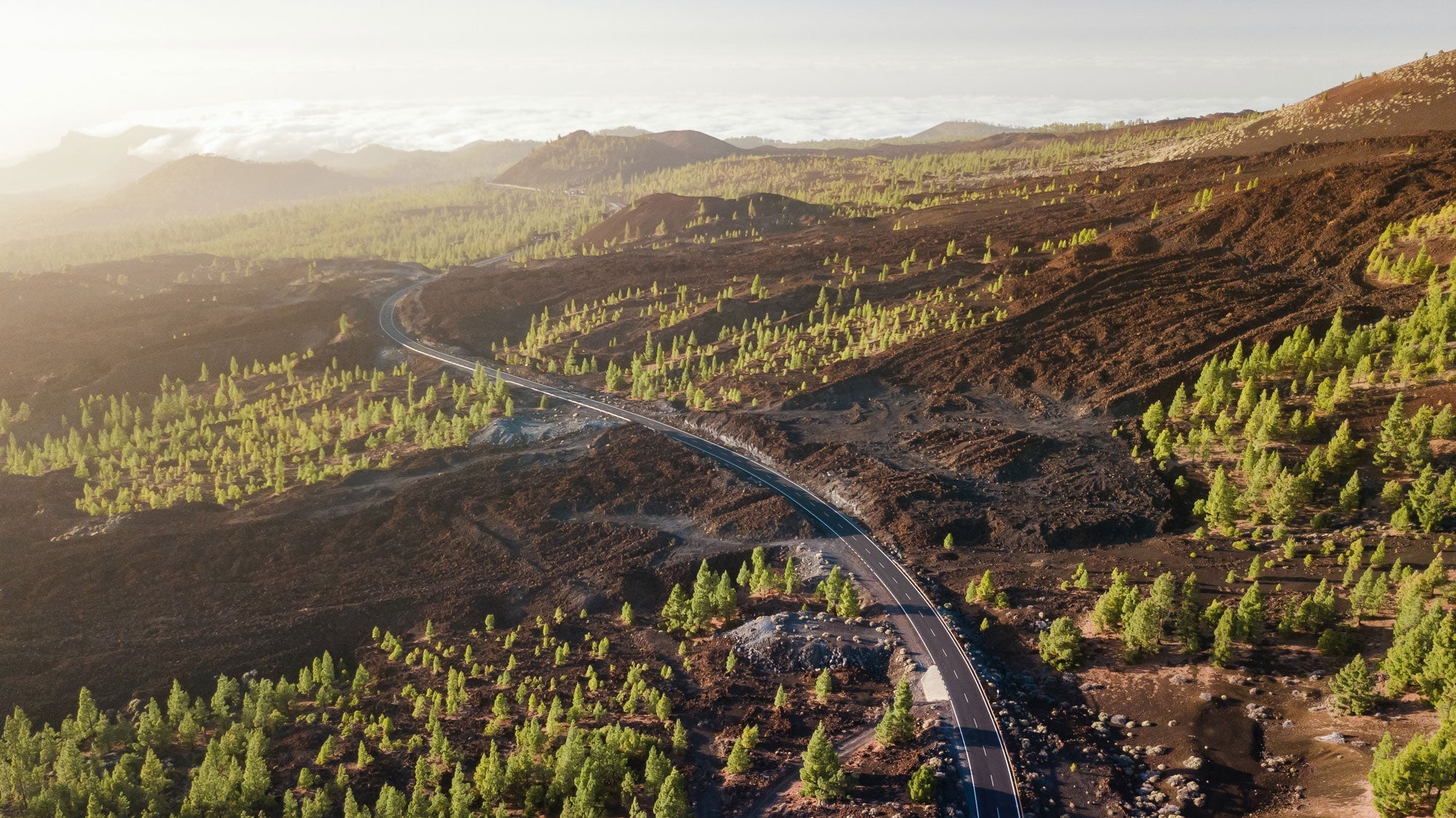 Values that underpin our culture