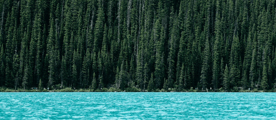 Emissions Calculator