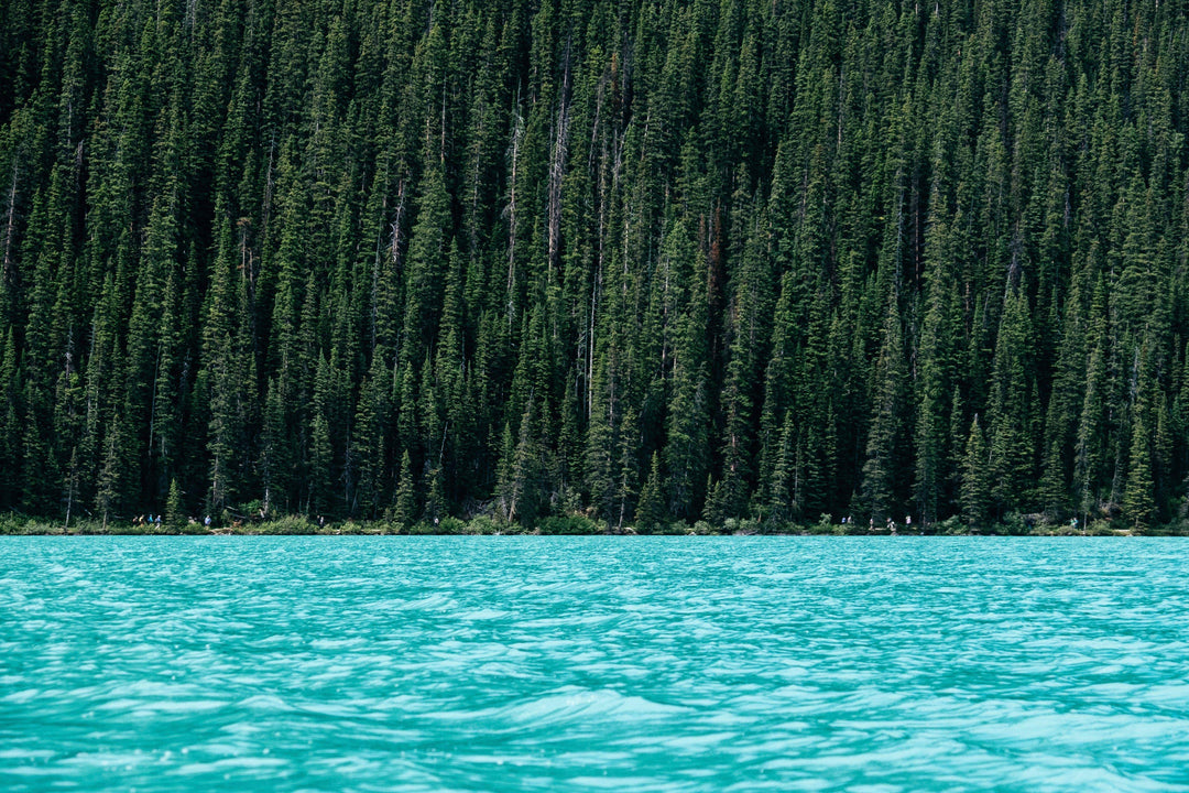 Join us for Green November!