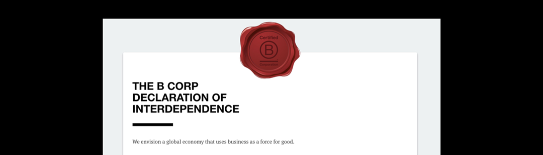What is a B Corp?