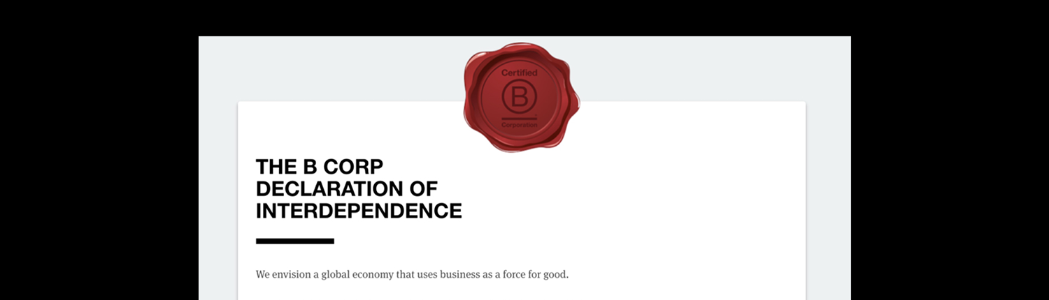 What is a B Corp?