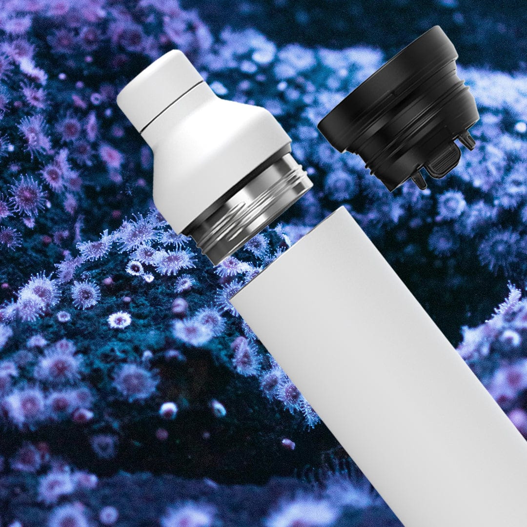 Hybrid Bottle and Tumbler Lids