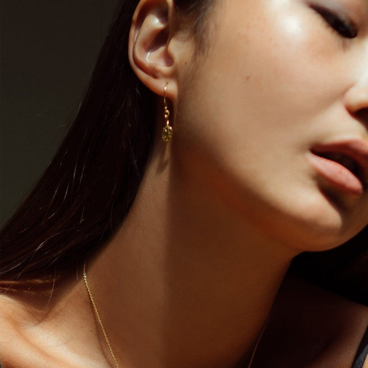 Gold or Silver Sand Dollar Shell Earrings | By Lunar James