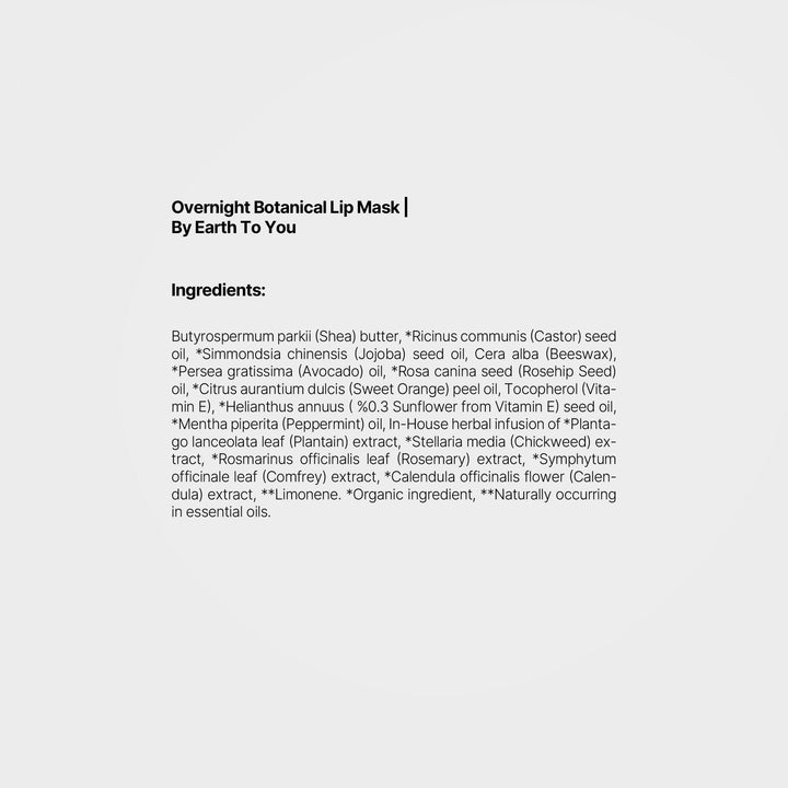 Overnight Botanical Lip Mask │ By Earth To You